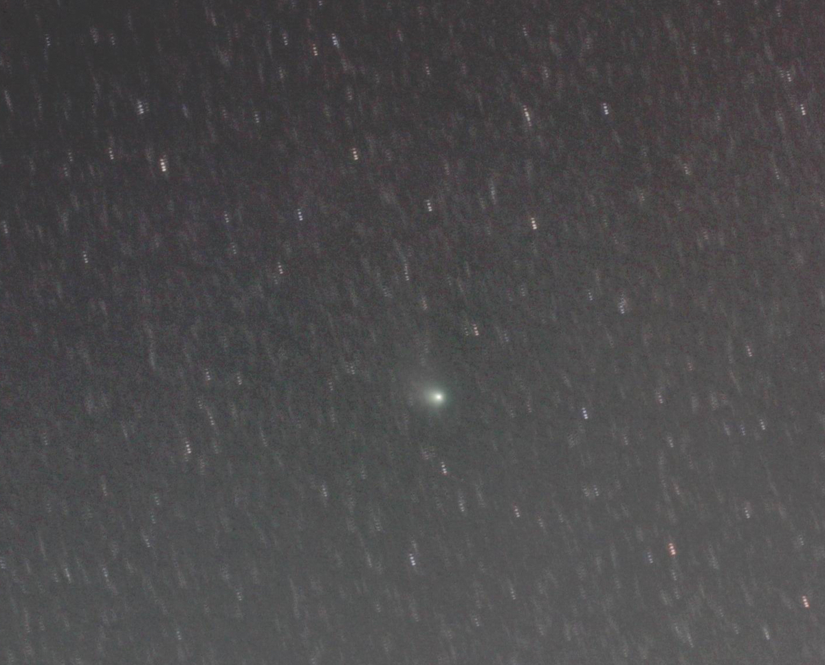 Cometa_C-2022_E3_ZTF_crop_Forum_ADIA_Astronomia_1200.jpg