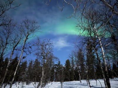 7979725d-7042-4f00-a1cc-20f33f277ae3.jpeg