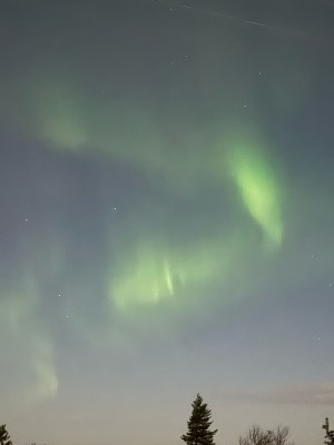 58476723-61a6-4cc0-935f-6c9e61deae6e.jpeg