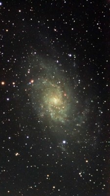 M_33_473x30sec_T26degC_2025-09-22-strech-siril_starnet_stretched_GraXpert-siril-ricomposta-_stretched_GraXpert-photoshop.jpg