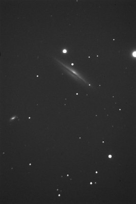 NGC4217_Giacinto_Candela_Forum_ADIA.jpg