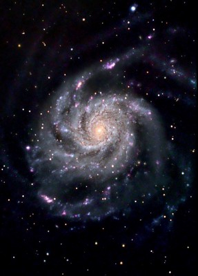 M101_Giuseppe_Petralia_Forum_ADIA.jpg