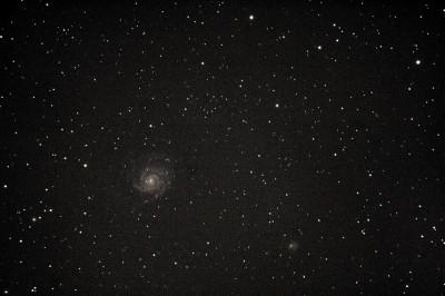 M101_Lino_Zivoli_ED_80_Forum_ADIA.jpg