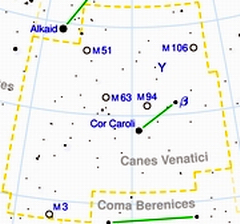 Cani_da_Caccia_Canes_Venatici_Costellazione_Forum_ADIA_240.JPG