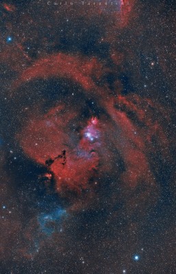 NGC2264 Bicolor firma forum.jpg