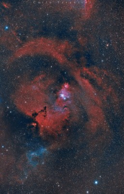 NGC2264 Bicolor firma forum2.jpg