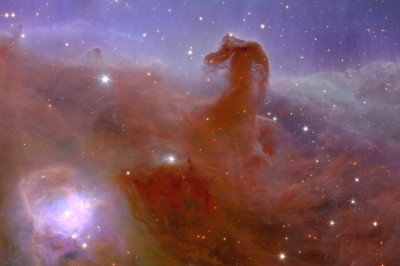 Euclid_s_view_of_the_Horsehead_Nebula_-_zoom_2.jpg