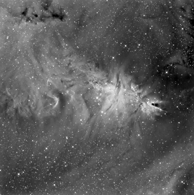 NGC2264_Petralia_Forum_ADIA_Astronomia.jpg